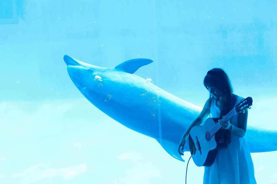 明日はフラリエにてライブです!_f0373339_14304453.jpg