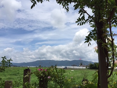 a0272241_171427.jpg