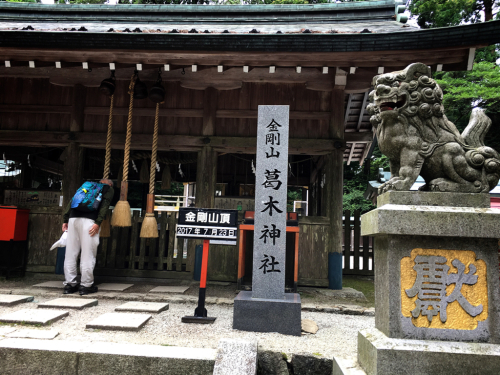 花暦ウォーク@金剛山頂回遊コース_e0292546_00462248.jpg