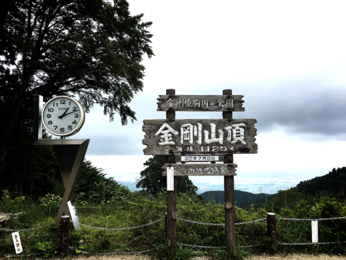 花暦ウォーク@金剛山頂回遊コース_e0292546_11521495.jpg