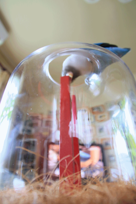 c0145250_10382243.gif