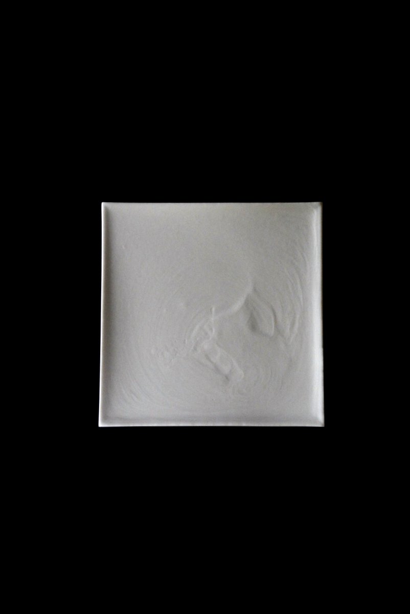 「 白石陽一展 土の現象 」 plate_d0087761_0311269.jpg