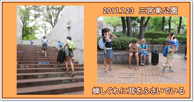 「和歌山・白浜・串本」孫たちと夏休み1泊旅行_a0052666_11353548.jpg