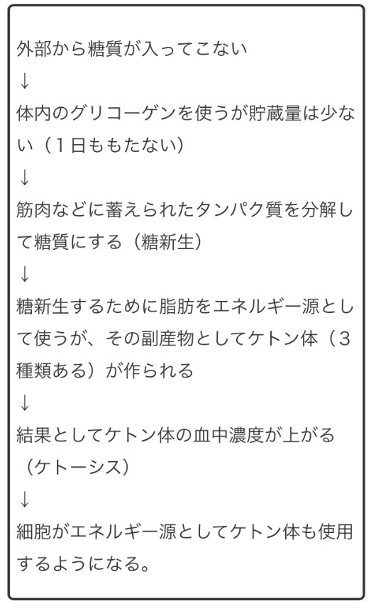肝臓に関する数値が悪い原因?_f0310282_16283896.png