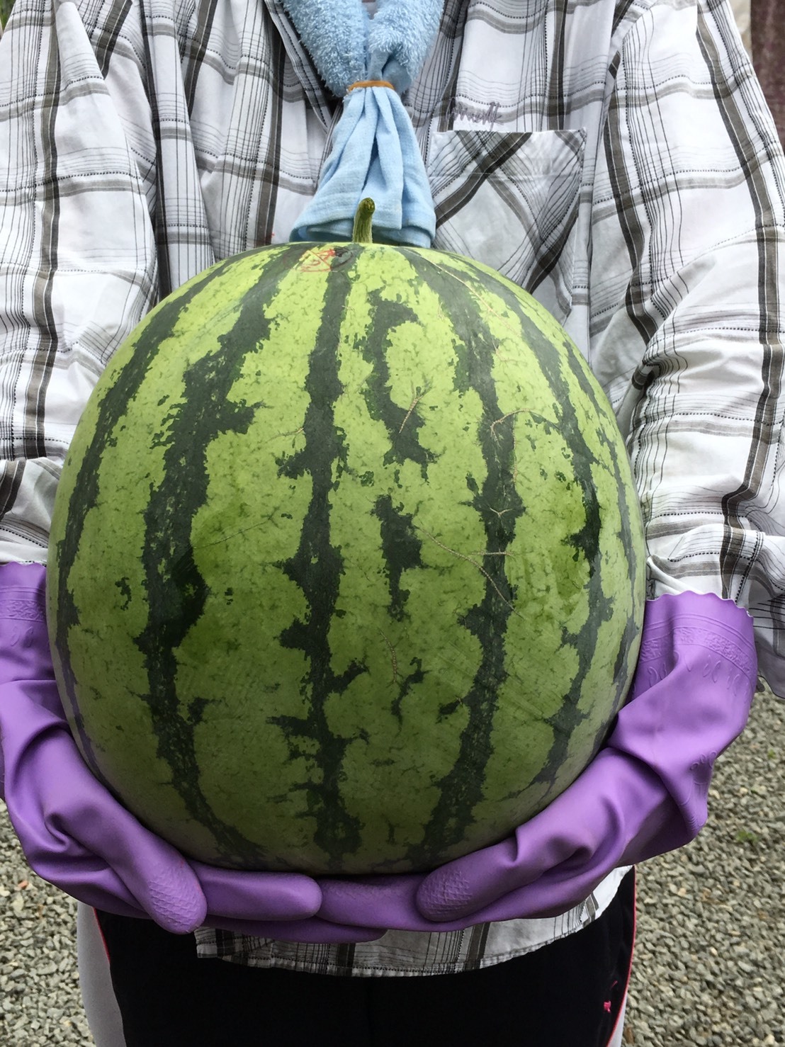 f0379286_19321258.jpeg