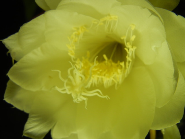 c0361298_22363185.jpg