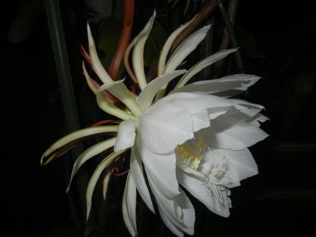 c0361298_22385507.jpg