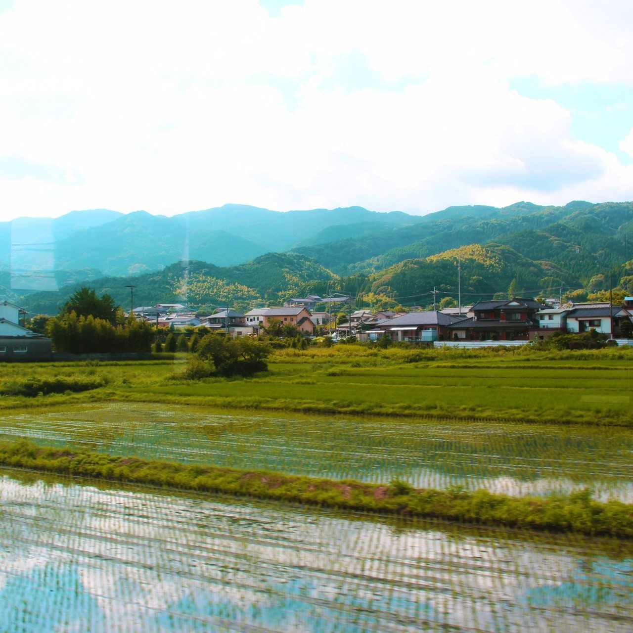 高校コース サマー合宿 Rさんの写真_d0116009_01230500.jpg
