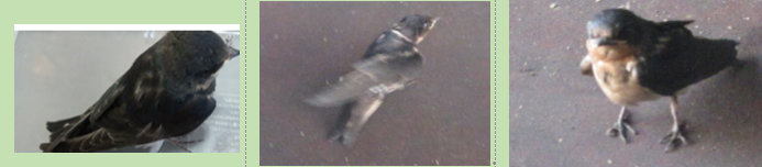 f0231709_23093548.png