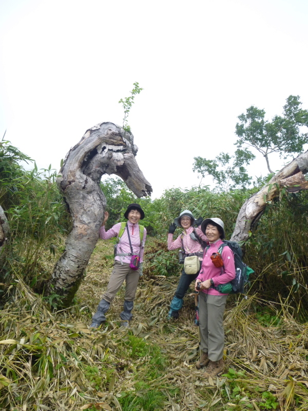 北海道　南暑寒岳登山　 登頂  編_d0170615_16512344.jpg