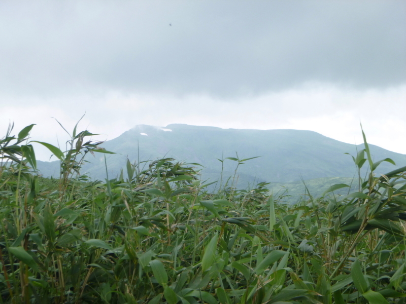 北海道　南暑寒岳登山　 登頂  編_d0170615_16532407.jpg