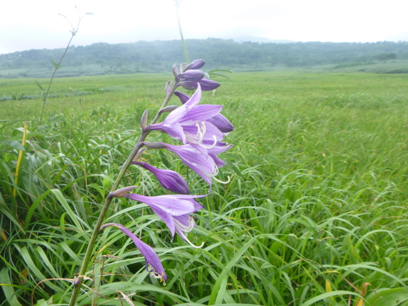 北海道　南暑寒岳登山　 登頂  編_d0170615_16543867.jpg