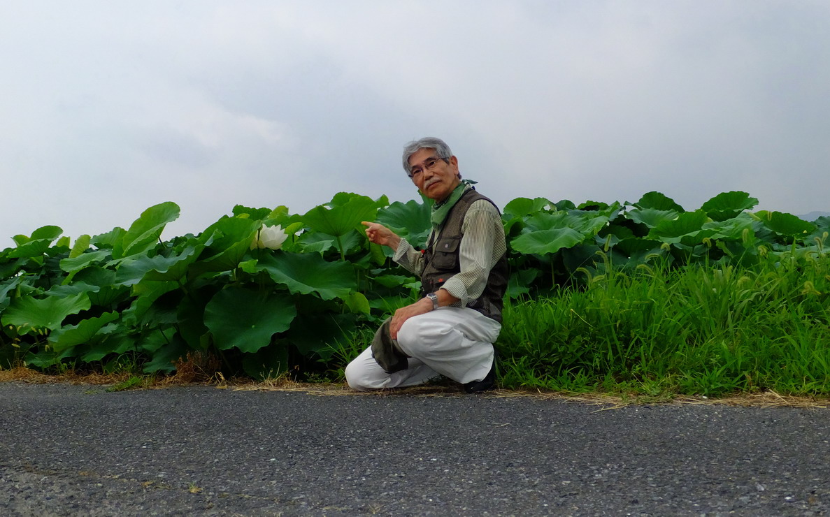 ブログ第47回.南岩国の蓮田の花_d0074419_1119255.jpg