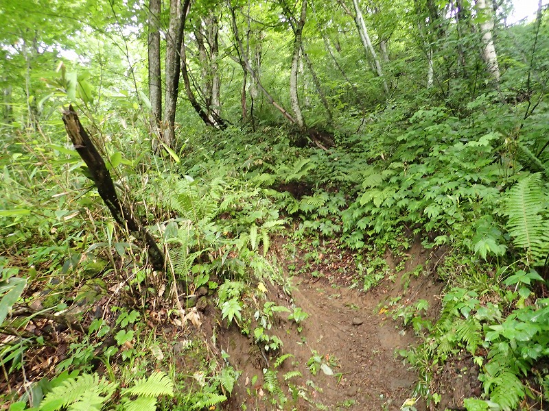 e0284726_10564376.jpg