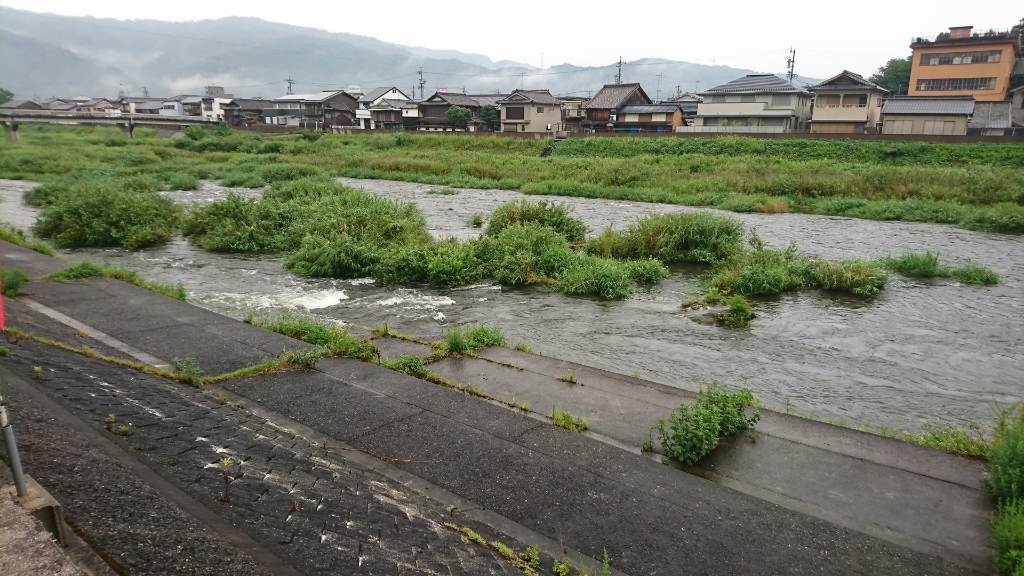 7月29日  河川情報。_c0266737_06272254.jpg