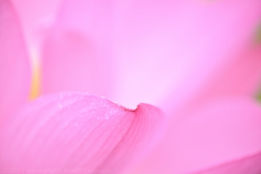 e0362037_23272912.jpg