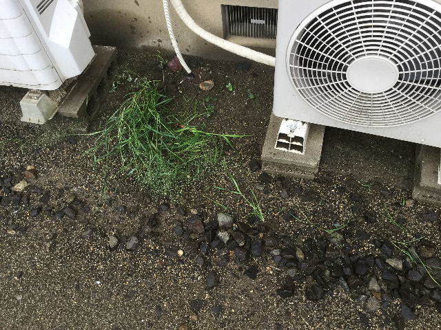 賃貸定期管理清掃_f0031037_18370924.jpg