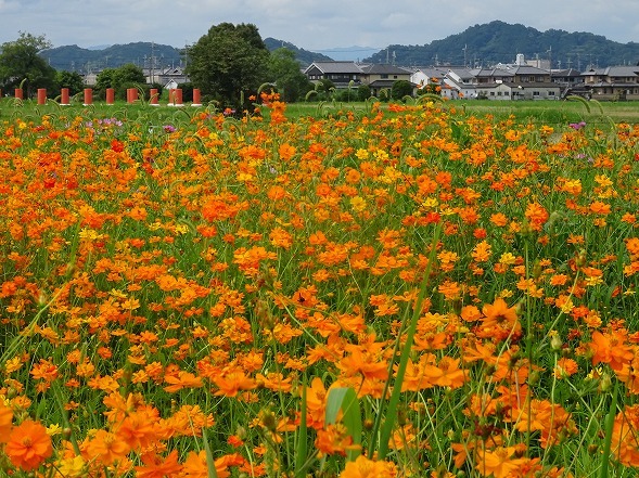 b0299042_07235601.jpg