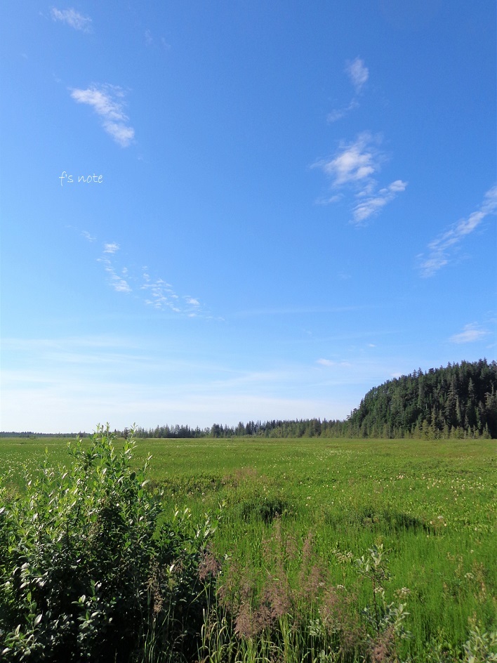 d0356844_03372777.jpg