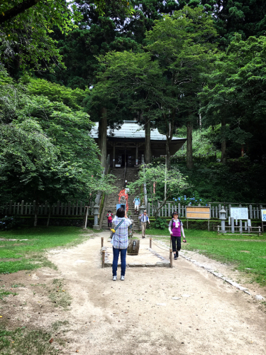 花暦ウォーク@金剛山頂回遊コース_e0292546_05152372.jpg