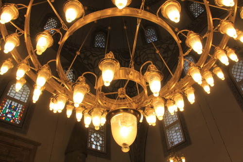 c0011649_21040779.jpg