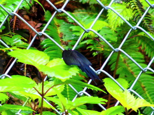 f0327061_20590952.jpg