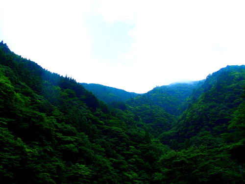 f0327061_20595921.jpg