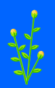 e0191585_20584818.gif