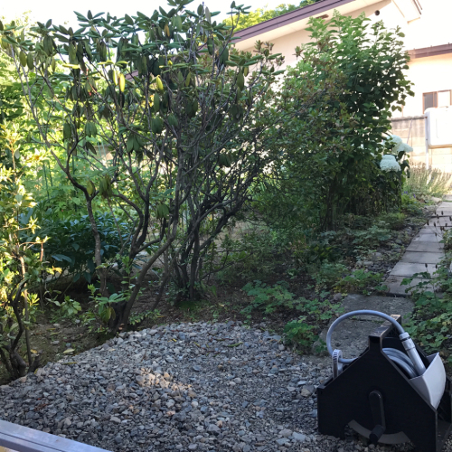 d0204189_16481536.jpg