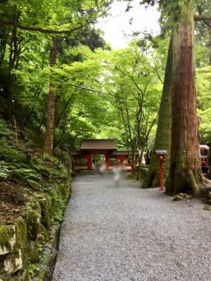 京都 2017祇園祭  〜その5・貴船神社 結社&奥宮〜_a0146493_20450148.jpg