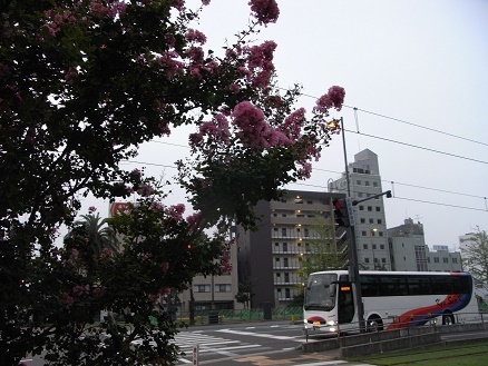 e0048994_17142008.jpg