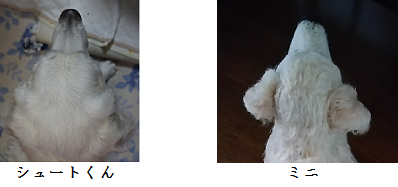d0282395_18553147.png