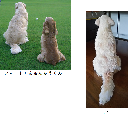 d0282395_18560189.png