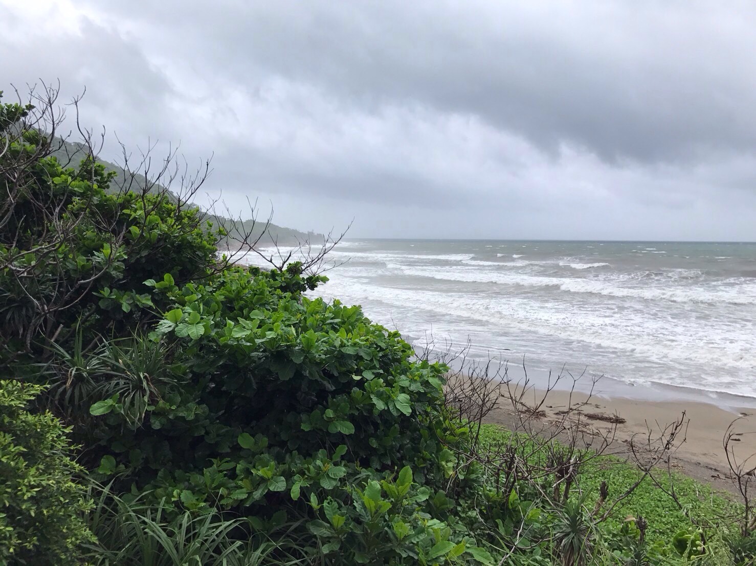 台湾佳楽水 今日の波 胸〜肩サイズ 雨オンショア_d0367000_18345769.jpeg