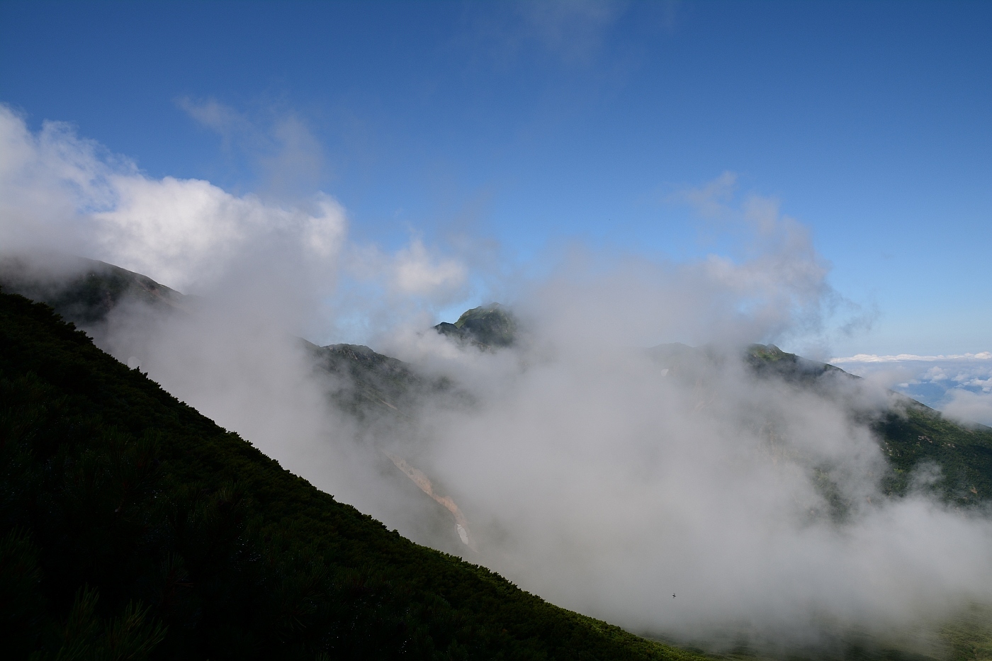 a0248508_10284255.jpg