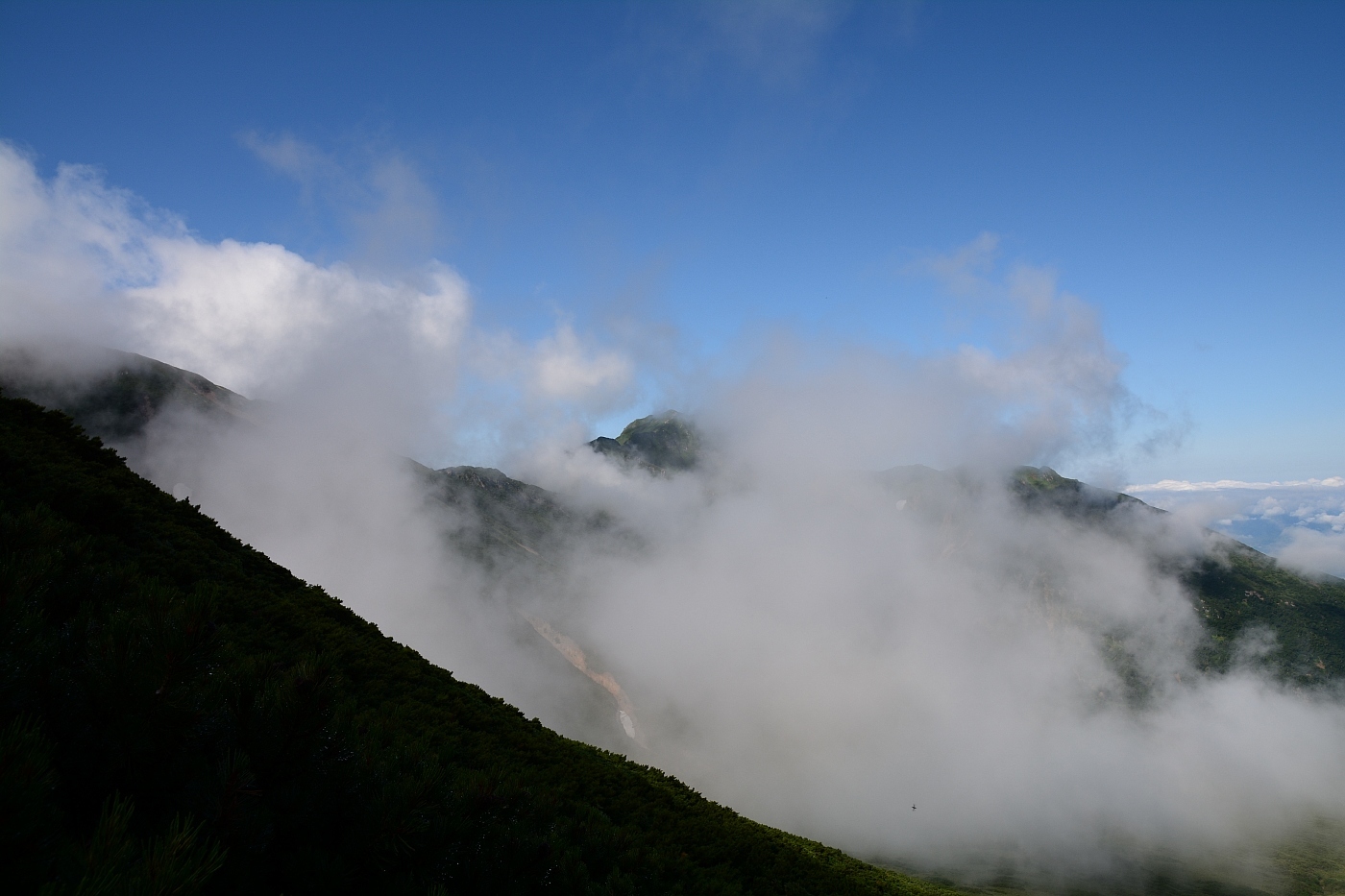 十勝連峰縦走★上富良野岳～上ホロカメットク山～十勝岳★2017.7.29_a0248508_10284255.jpg