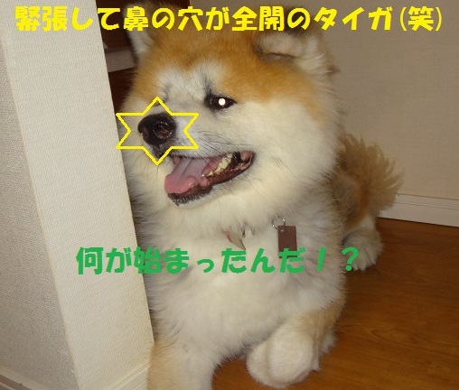 f0121712_14441231.jpg