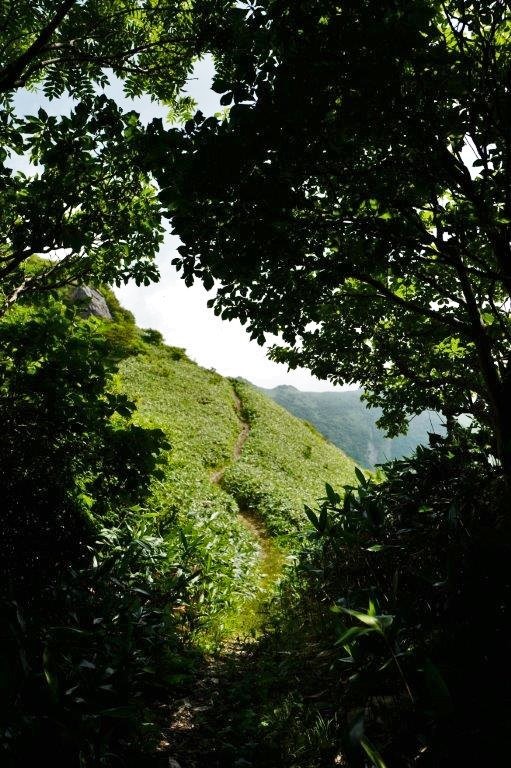 f0365212_22275008.jpg