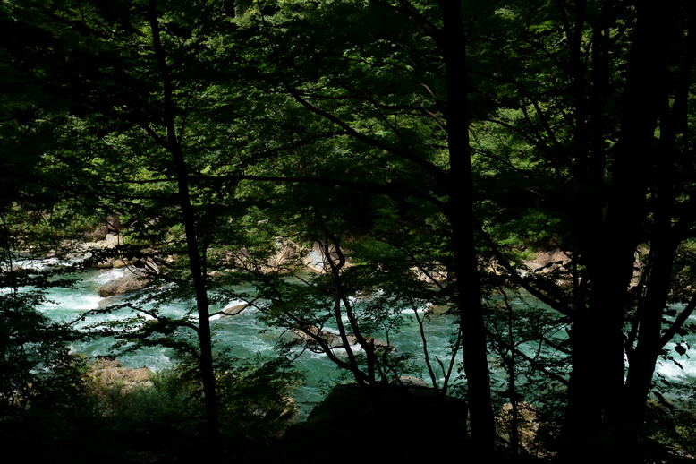 d0181314_0451672.jpg