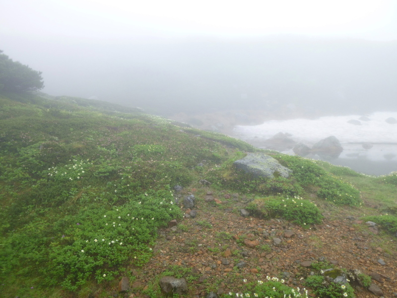 北海道二山目　旭岳 (2,290.3M) 　姿見平 編_d0170615_17430206.jpg