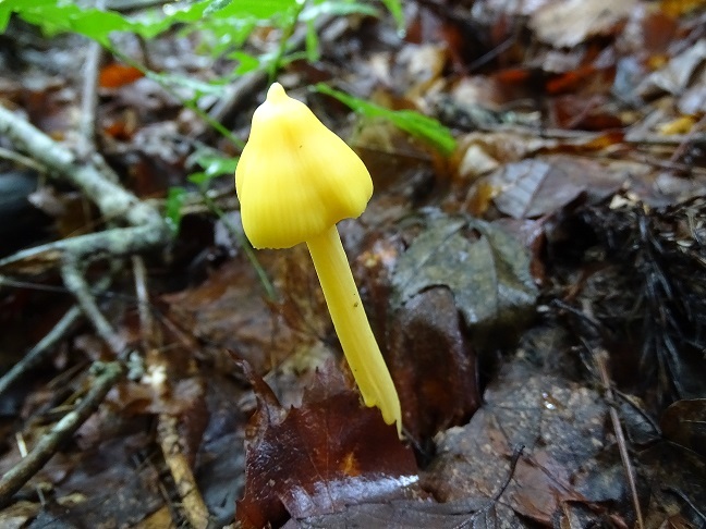 f0360815_16335887.jpg