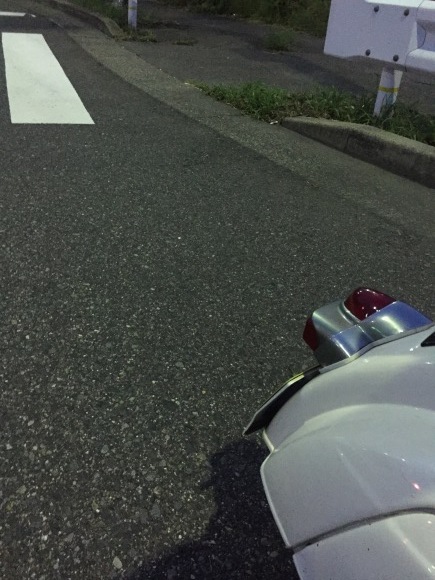 e0165019_22101860.jpeg