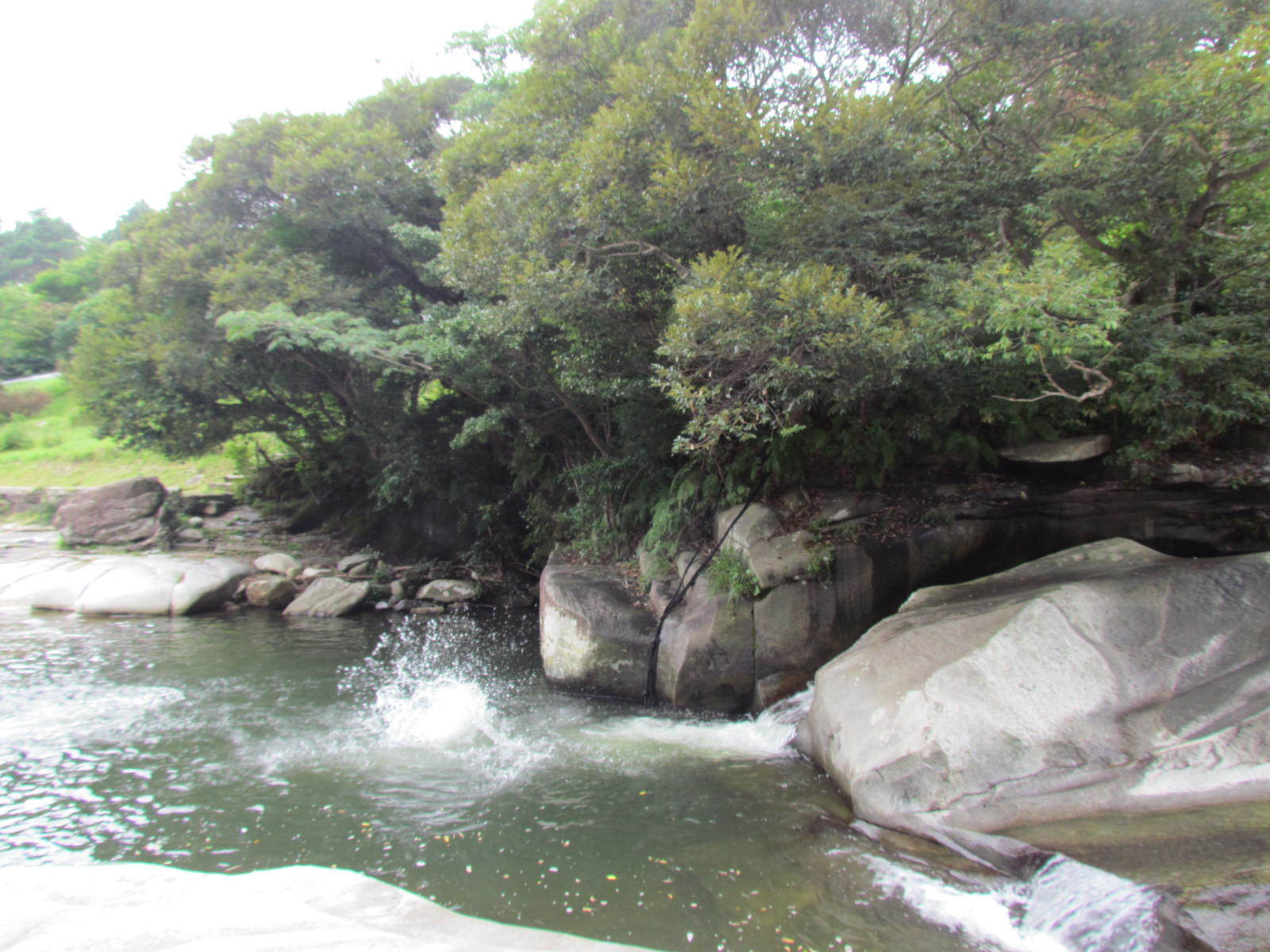 d0360922_02255778.jpg