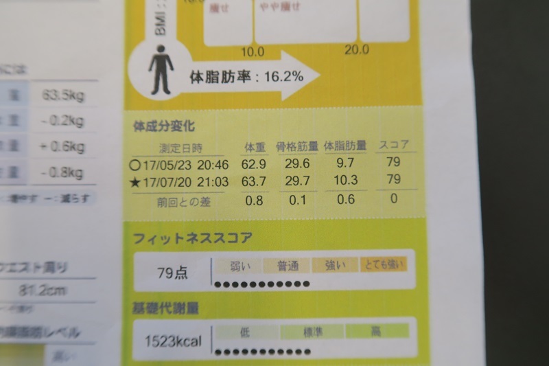 スバルの将来と痛風発作_f0076731_16335612.jpg