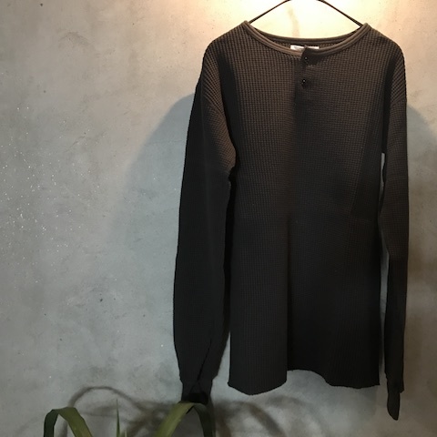 リノからの秋_d0364239_19445597.jpg