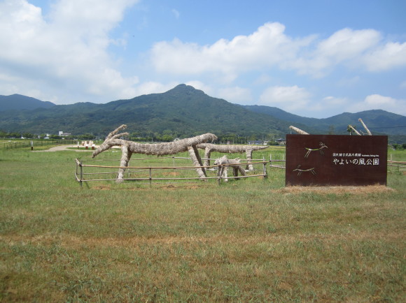 吉武高木遺跡・三種神器発祥の地と倭建命_a0237545_17155103.jpg