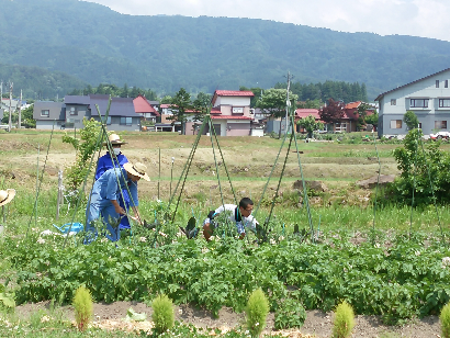 b0185245_20584133.png