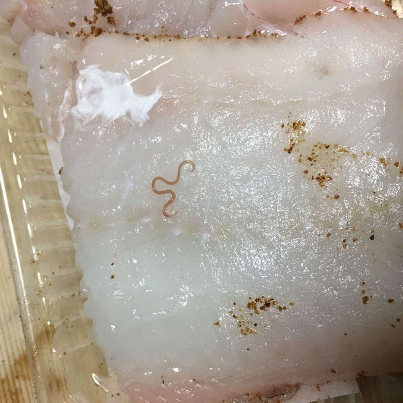 アニキサス Impronta Di Gatto アニキサス Impronta Di Gatto