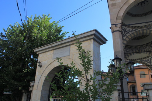c0011649_01264781.jpg