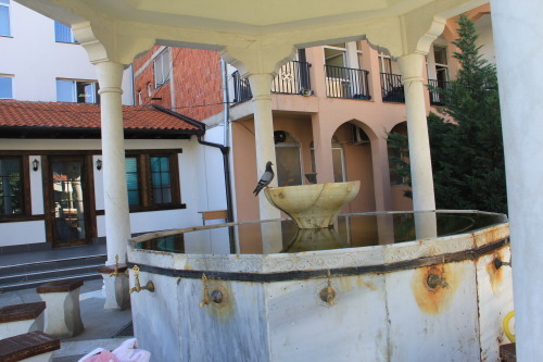 c0011649_20313929.jpg